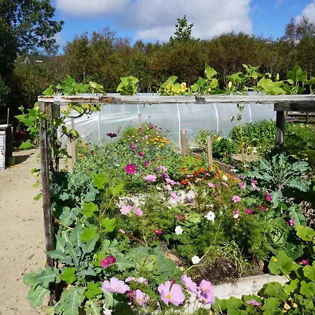Fernwood Farm stay Clifden